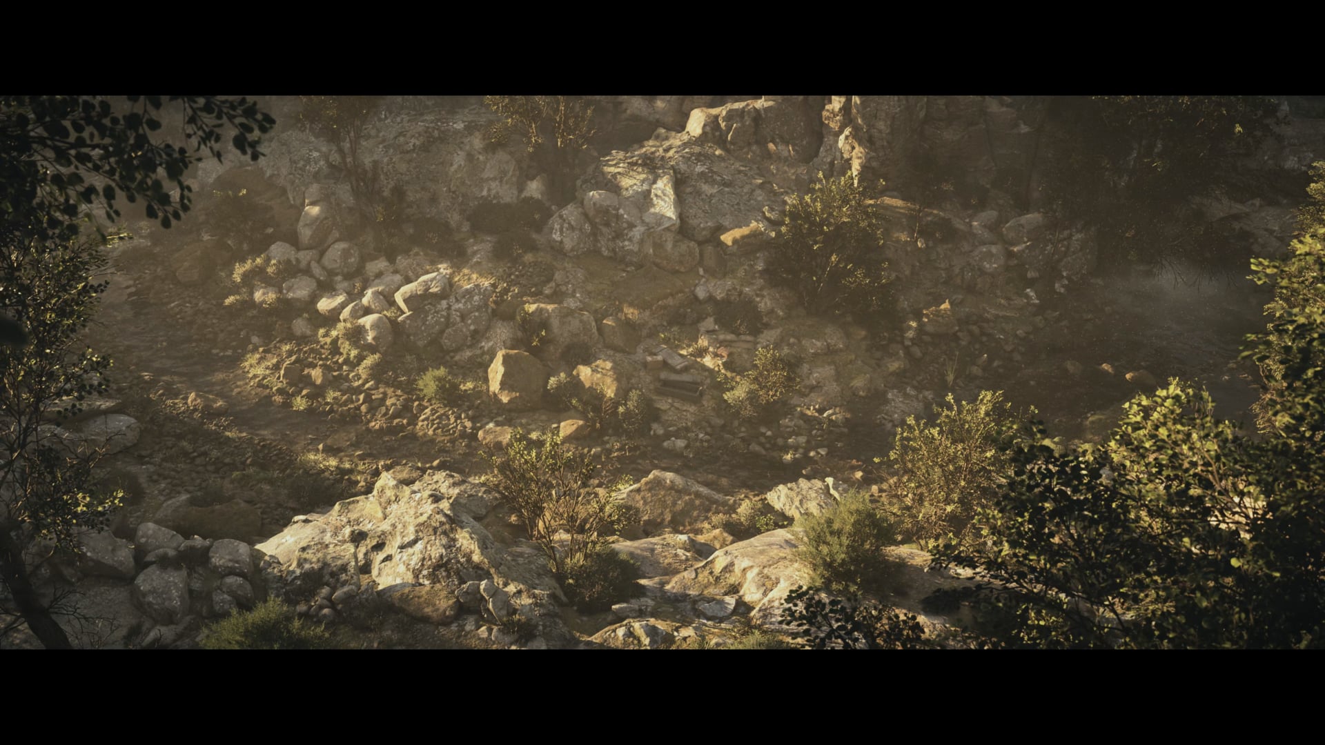 Canyon