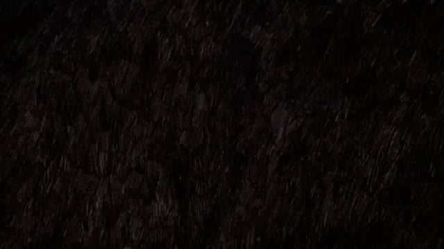 Thumbnail for Belly