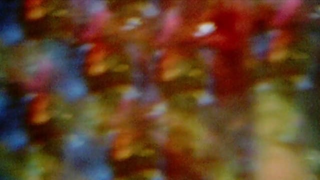 Thumbnail for Within Within