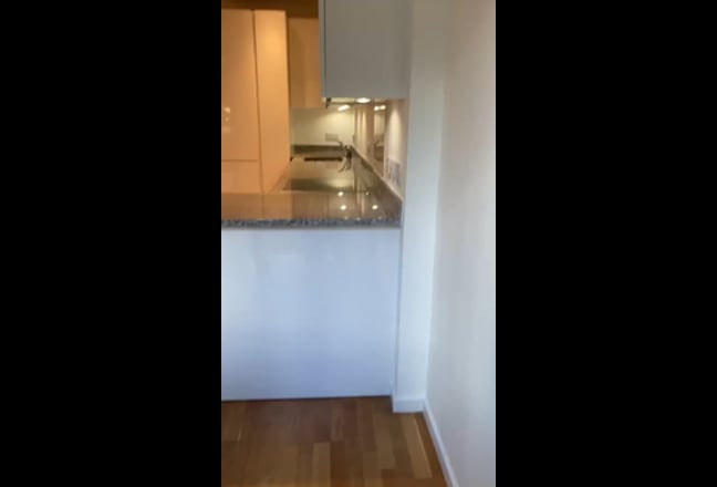 Video 1: 