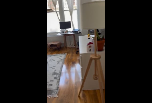 Video 1: 