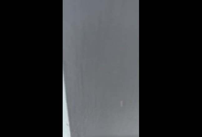 Loveley Double in Bermondsey Garden Flat Main Photo