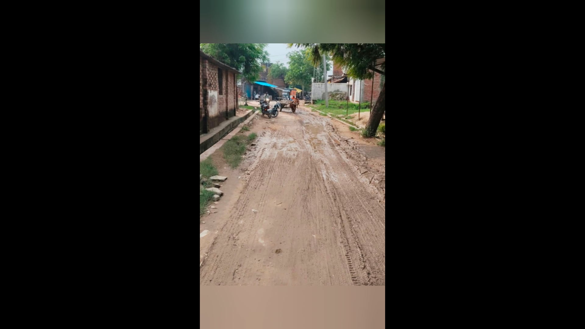 रायगढ़ तीराहे से डींगुर सिंह पुरवा मार्ग पर जलभराव, कीचड़ में फंसी ग्रामीणों की राह latest_news