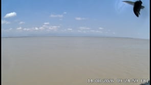 Related Embedded Video Item Thumbnail