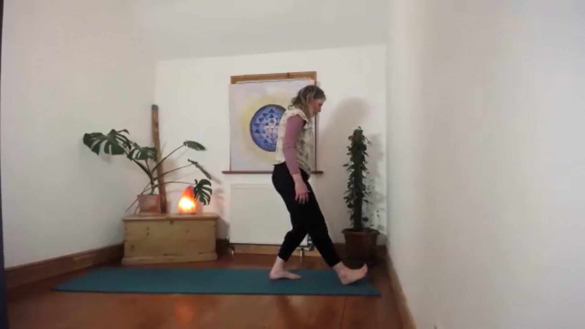Multilevel wk2 Mobility. Balance and back