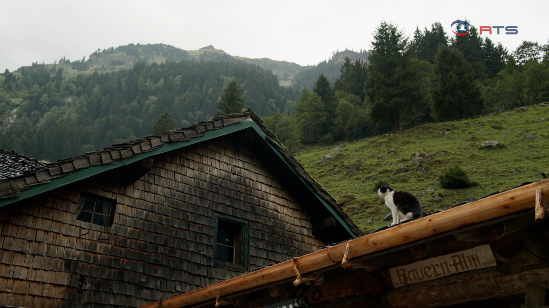 alm-voller-arbeit-zu-besuch-auf-der-bauernbaueralm