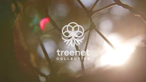 Treenet Collective Course Overview