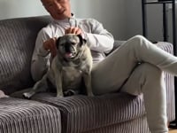 Lola Video
