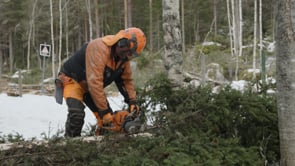 Related Embedded Video Item Thumbnail