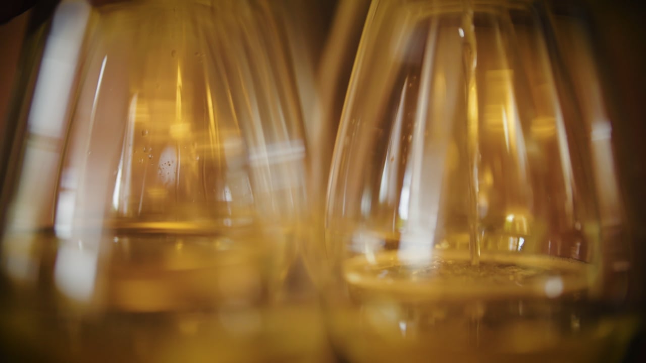Champagne Pol Roger - A Celebration of Excellence