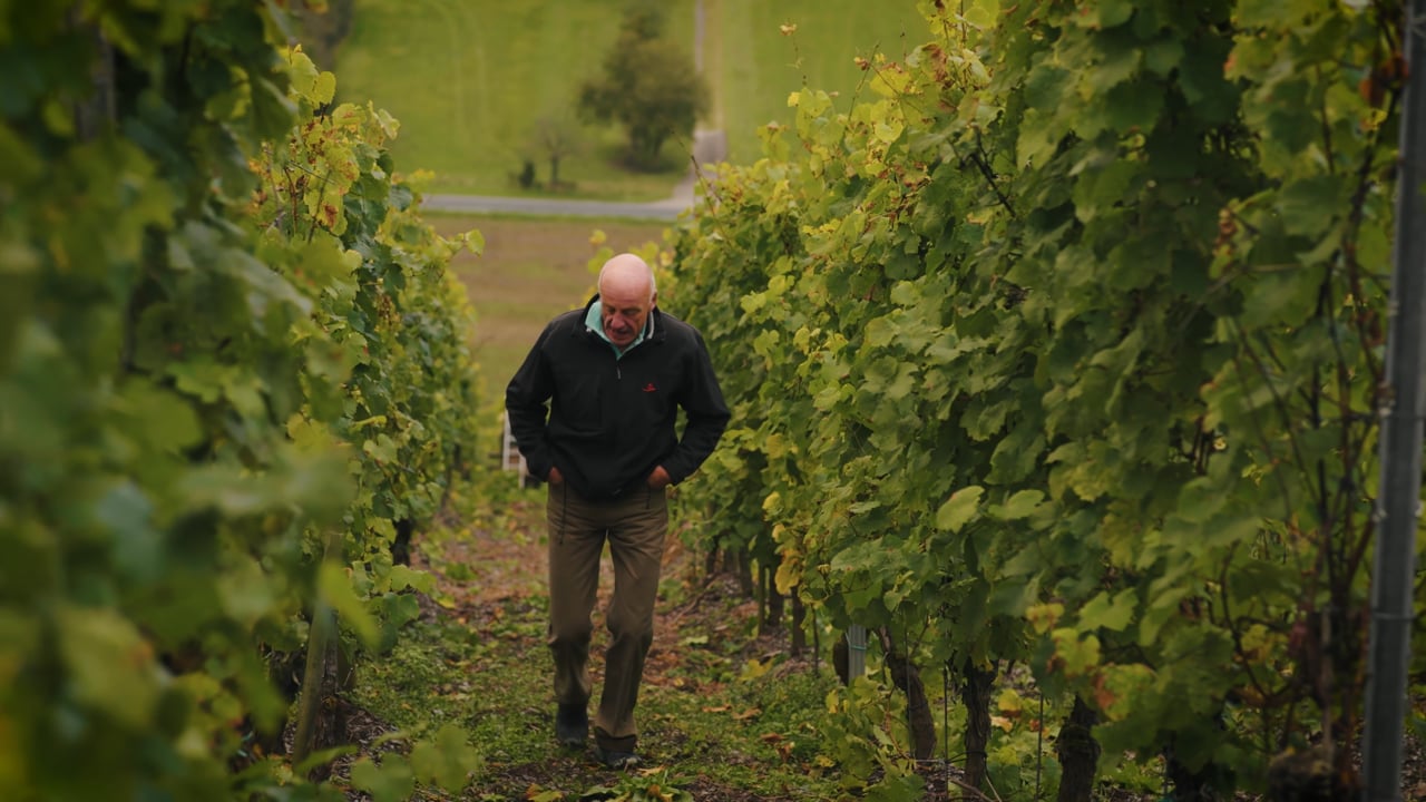 Egon Müller - A Singular Vineyard