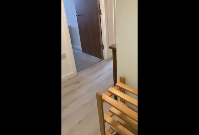 Room for vegetarian woman in East London Main Photo