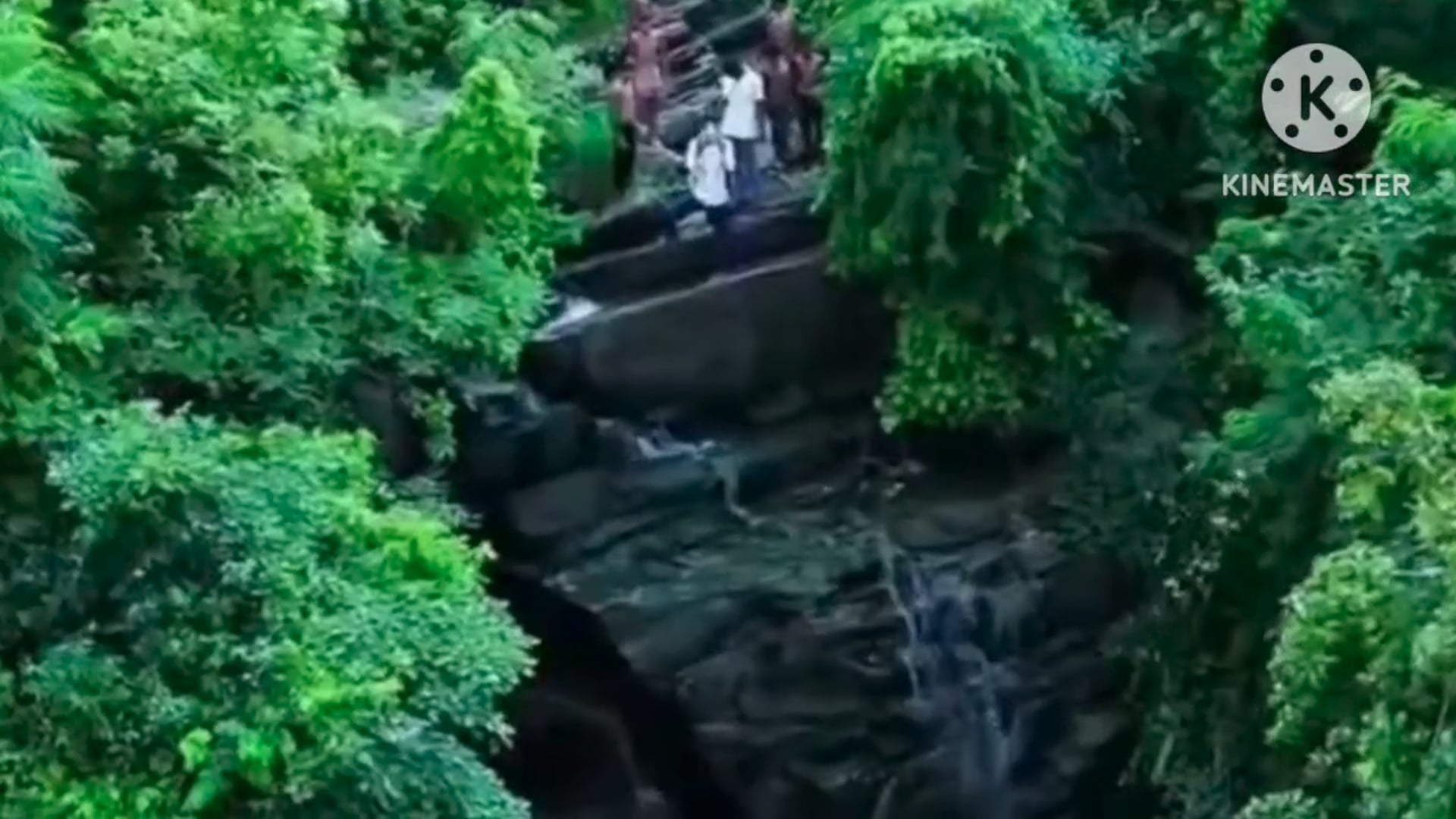 प्रकृति की गोद में बसा मनोरम हिडन वॉटरफॉल सैलानियों के लिए बना आकर्षण का केंद्र, मूलभूत सुविधा की जोह रहे वाट 
