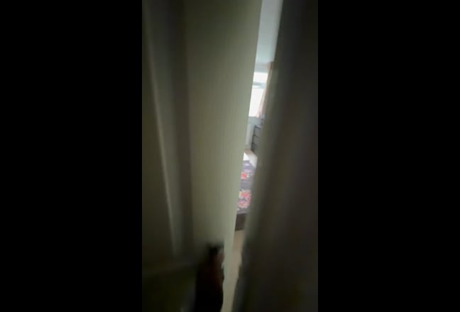 Video 1: 