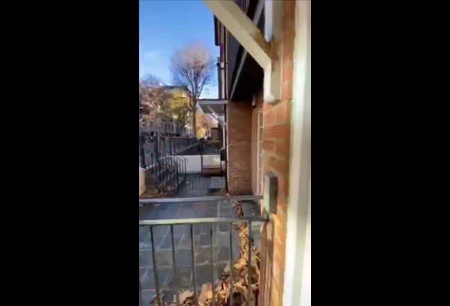 Video 1: 