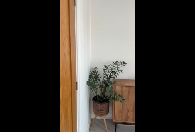 Video 1: 