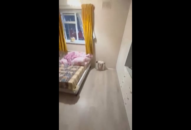 Video 1: 