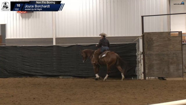 #132 Joyce Borchardt