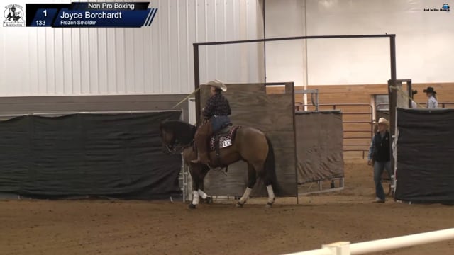 #133 Joyce Borchardt