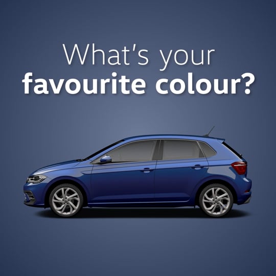 Polo Colors