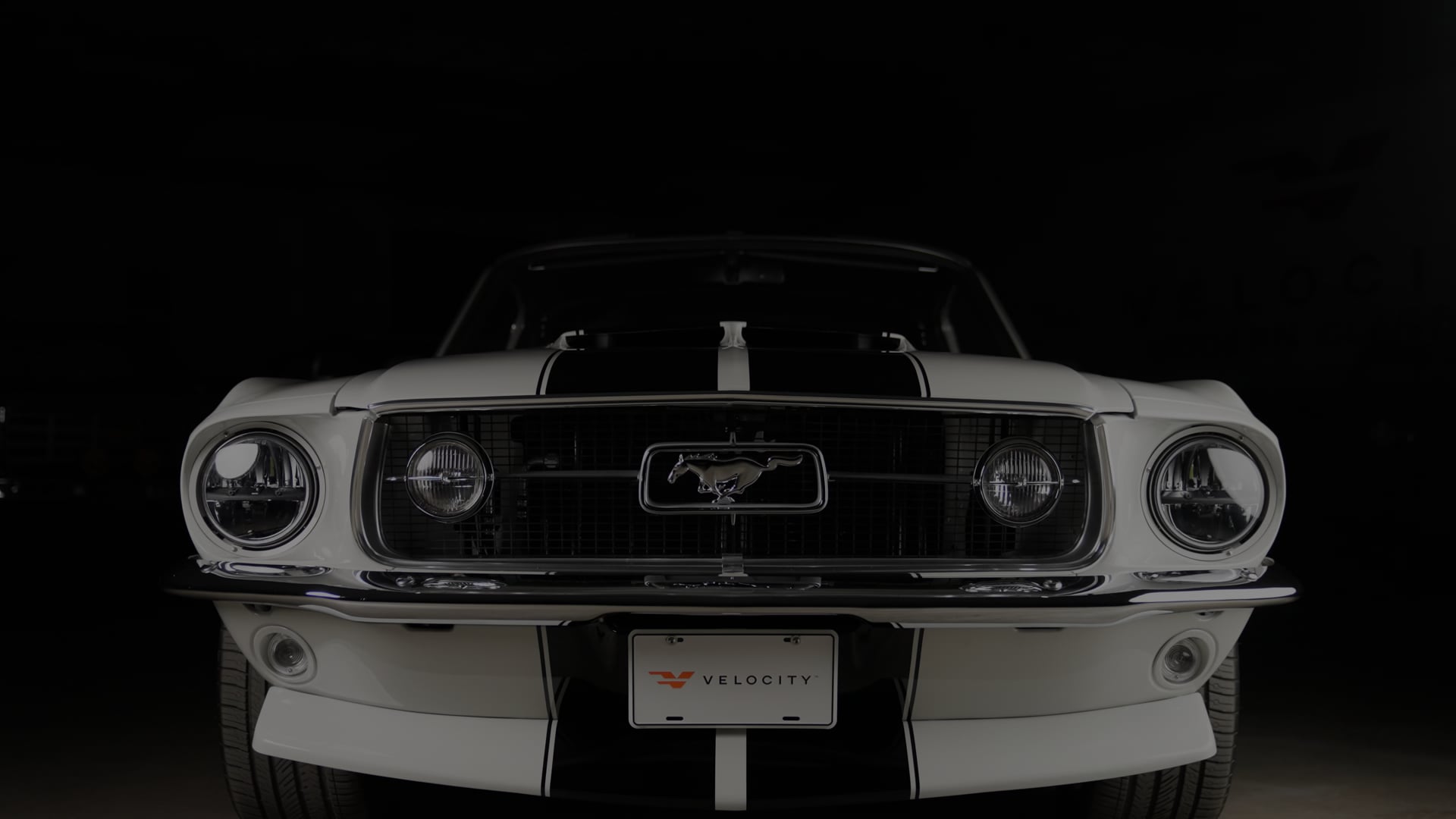 Mustang Fastback Walkaround