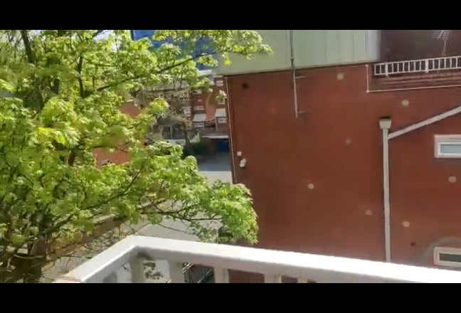 1 Bed flat for rent Main Photo
