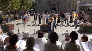 Unes dues-centes persones participen en les concentracions per la Diada a l'Escala