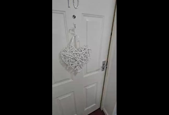 Video 1: 