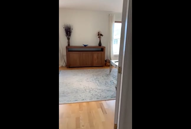 Video 1: Living Room
