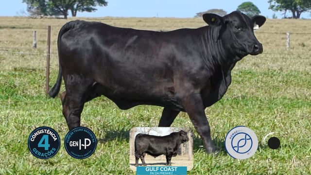 Lote 24