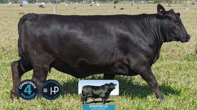 Lote 25