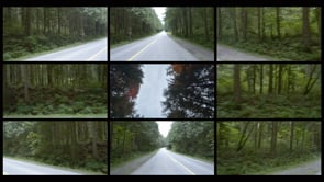 Related Embedded Video Item Thumbnail