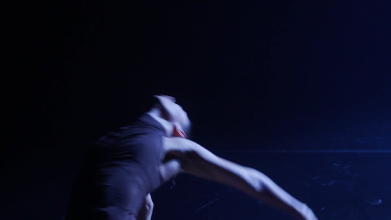 Sydney Dance Company: Support the Future of Australian Contemporary Dance