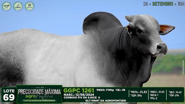 Lote 69