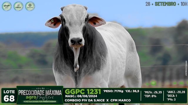 Lote 68