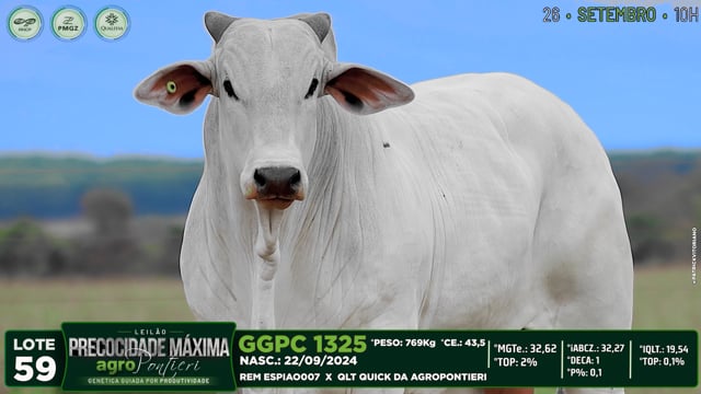 Lote 59