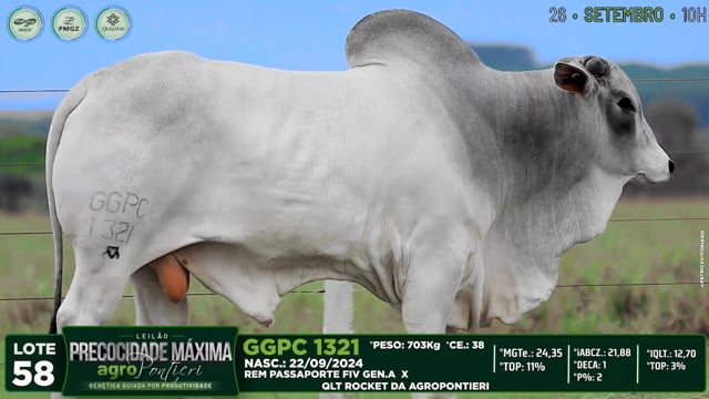 Lote 58