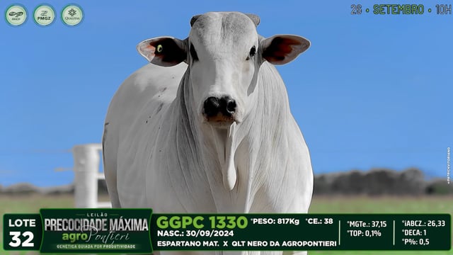Lote 32