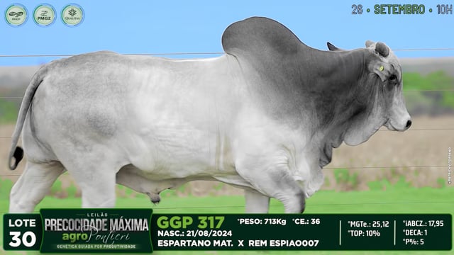Lote 30