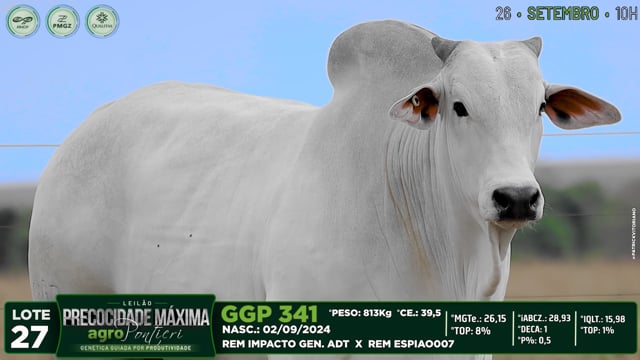 Lote 27
