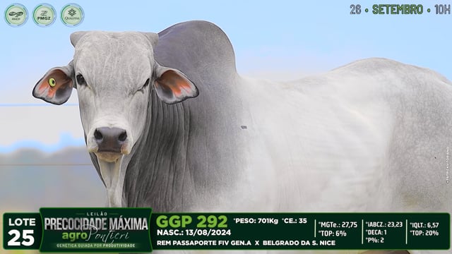 Lote 25