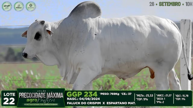 Lote 22