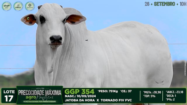 Lote 17