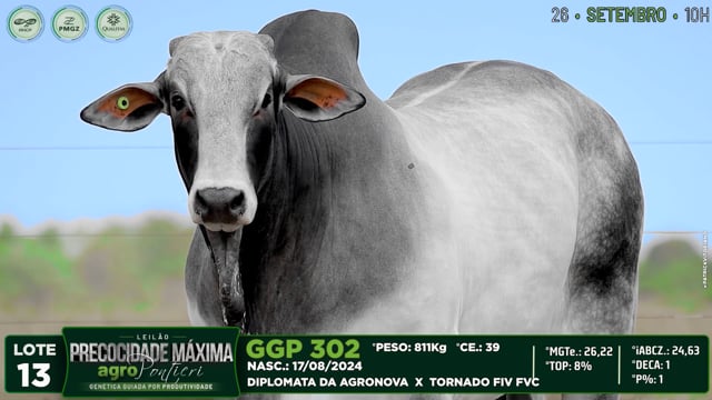 Lote 13