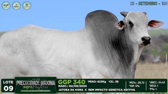 Lote 09
