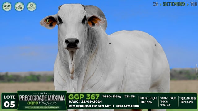 Lote 05