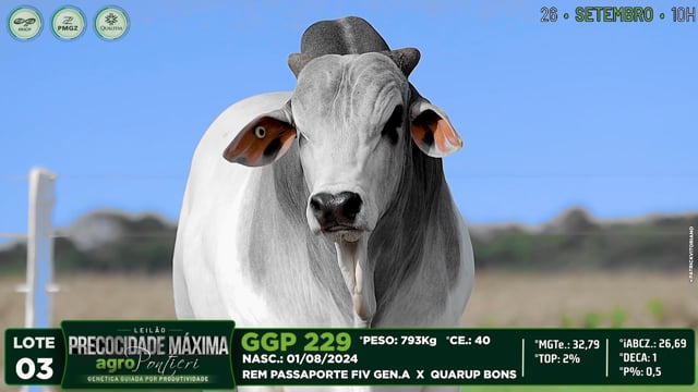 Lote 03