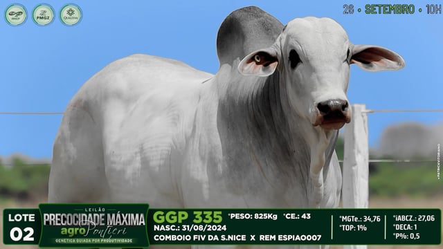 Lote 02
