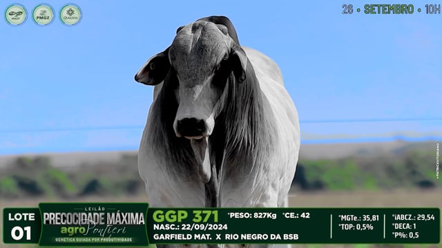 Lote 01