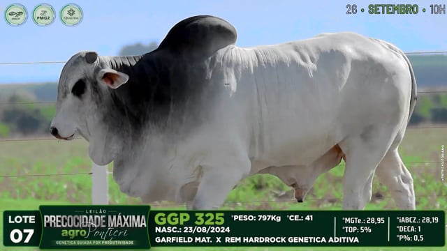 Lote 07